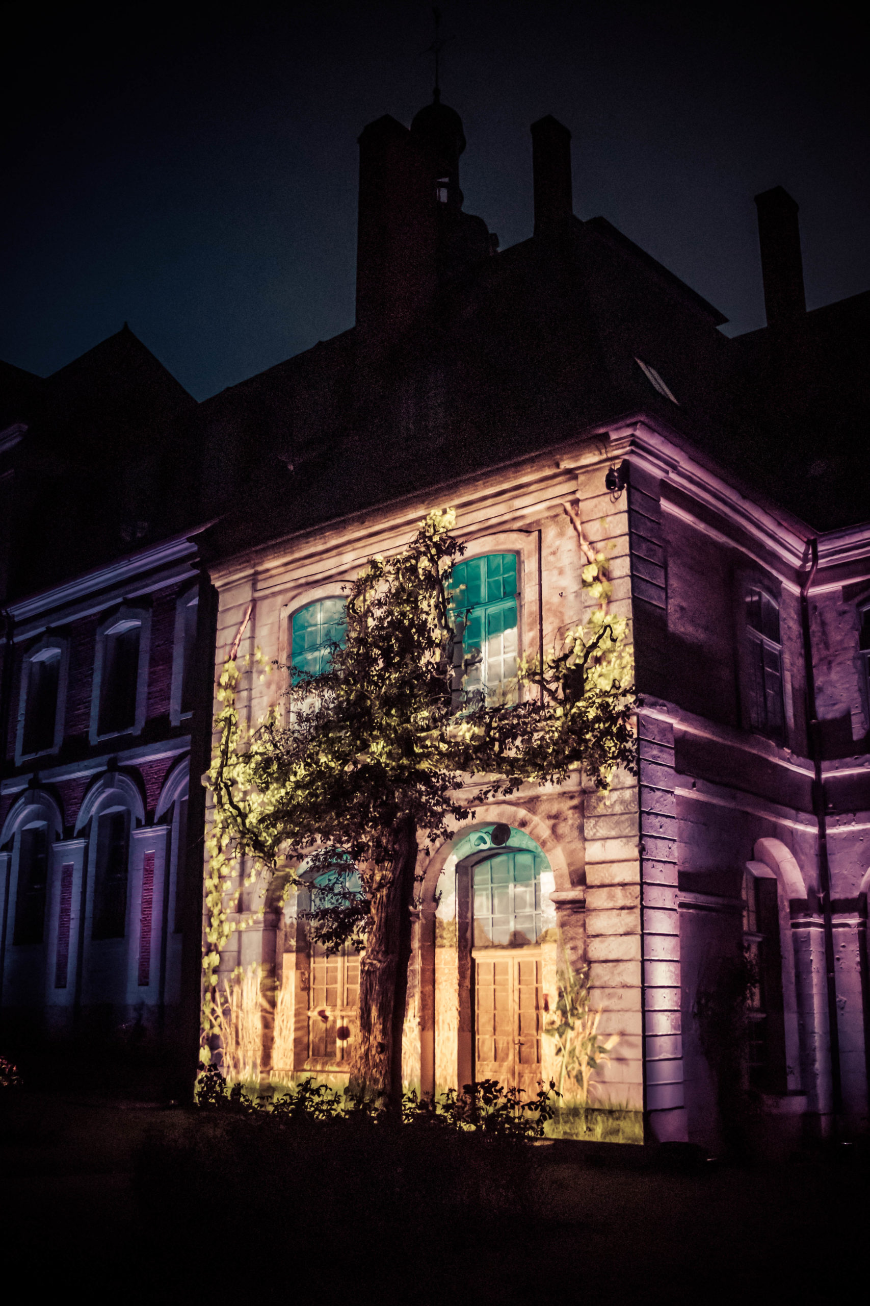 poirier abbaye de valloires de nuit